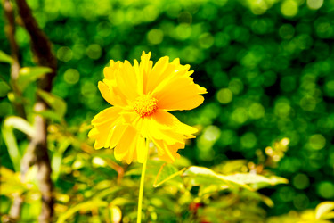 Similar image 10883242