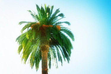 Similar image 10865093