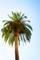 Similar image 10865094