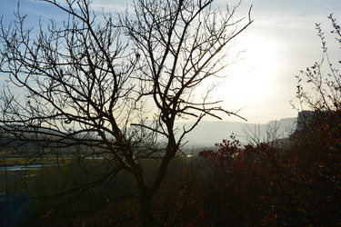 Similar image 10863272