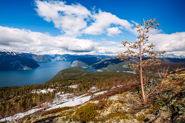 Similar image 10867710