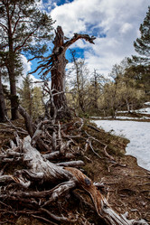 Similar image 10867673