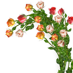 Similar image 10868079