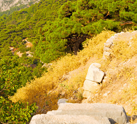 Similar image 10883414