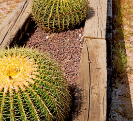 Similar image 10884779