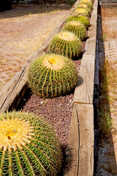 Similar image 10884818