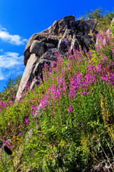 Similar image 10863275