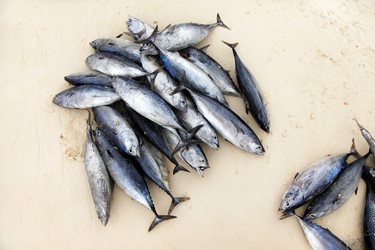 Similar image 10863881