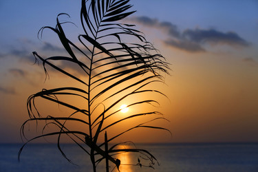 Similar image 10863885