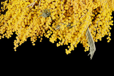 Similar image 10868503