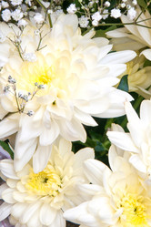 Similar image 10865031