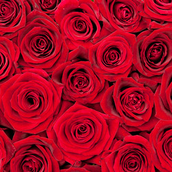 Similar image 10865032