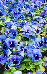 Similar image 10865034