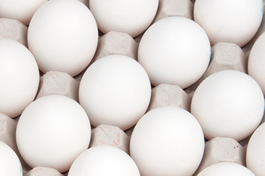 Similar image 10865053