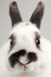 Similar image 10865055