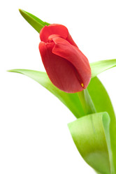 Similar image 10865056