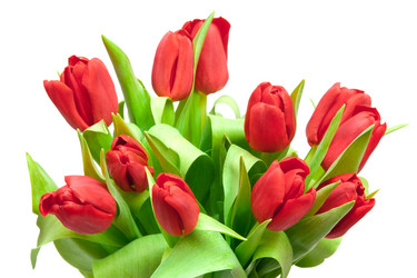 Similar image 10865060