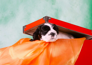 Similar image 10863458