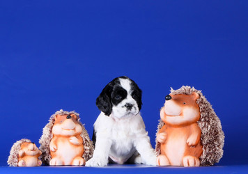 Similar image 10863459