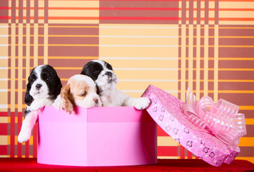 Similar image 10863460