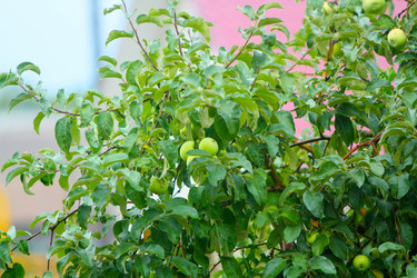 Similar image 10863446