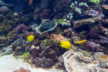 Similar image 10864946