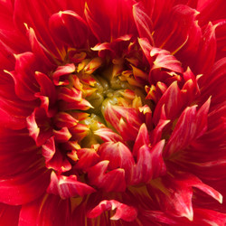 Similar image 10864950