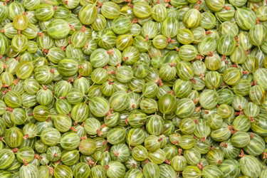 Similar image 10864951