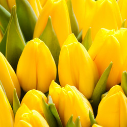 Similar image 10864957