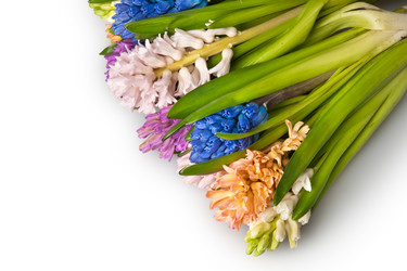 Similar image 10864958