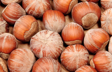 Similar image 10864960