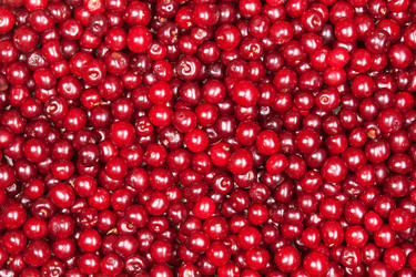 Similar image 10864966