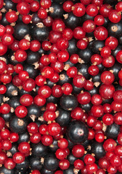 Similar image 10864972