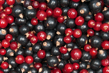 Similar image 10864974