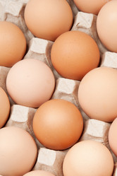 Similar image 10864975