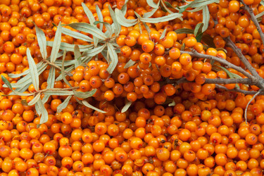 Similar image 10864979