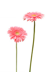 Similar image 10864980