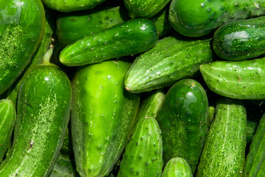 Similar image 10864981