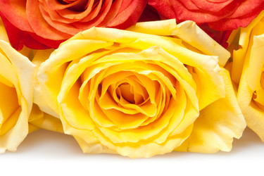 Similar image 10864982