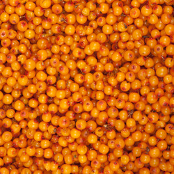 Similar image 10864997