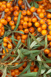 Similar image 10864998