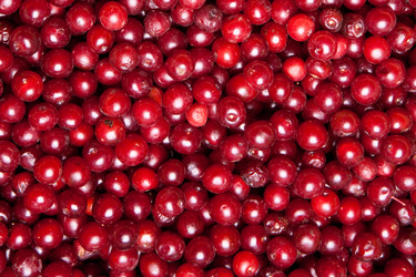 Similar image 10864999