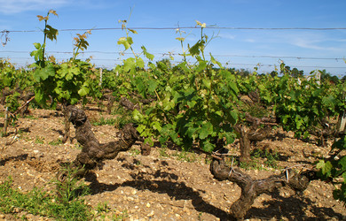 Similar image 10865025