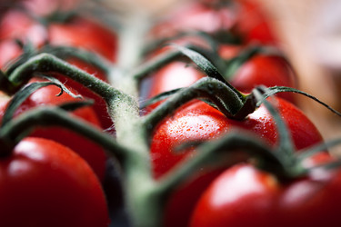 Similar image 10864103