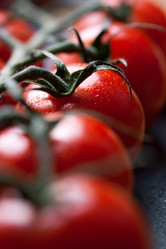 Similar image 10864105