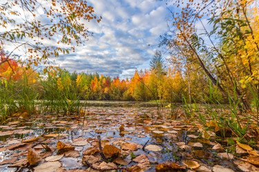 Similar image 10863387