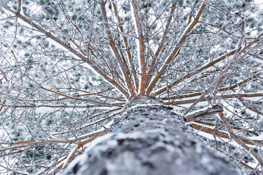 Similar image 10863388