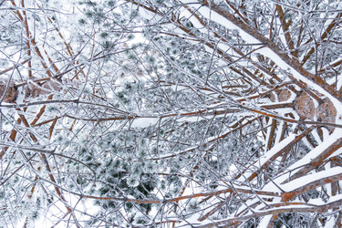 Similar image 10863389