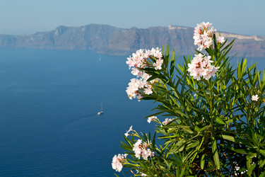 Similar image 10883211