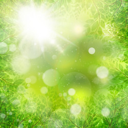 Similar image 10868054